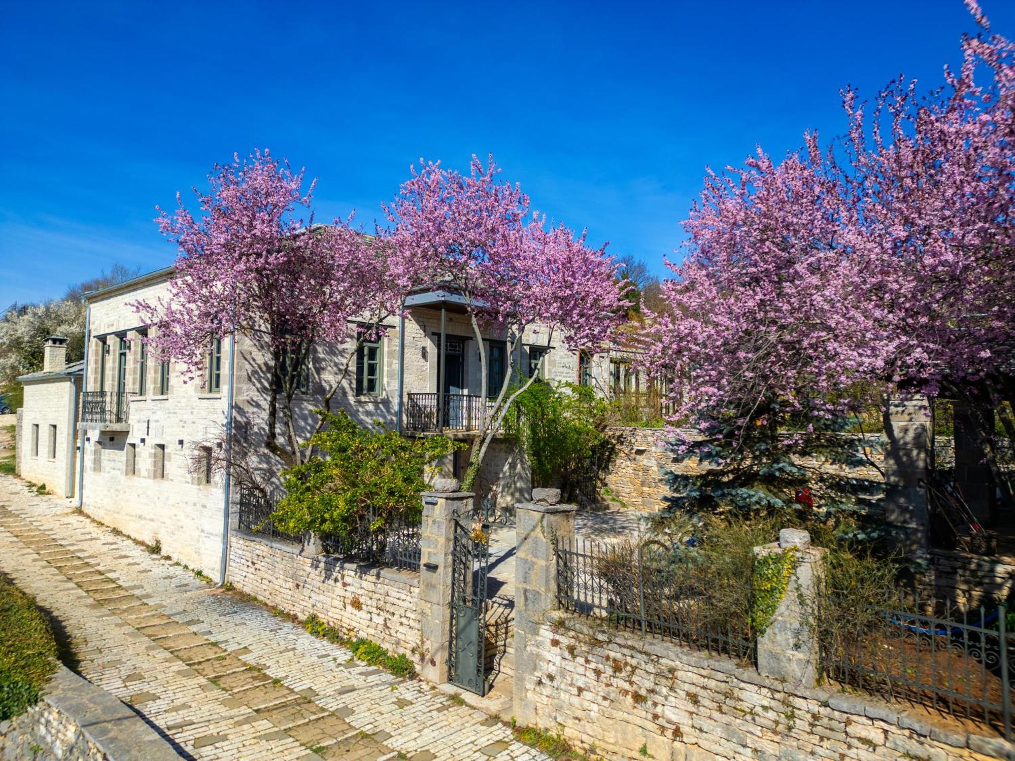 Katikia Zagori Hotel Vítsa Exterior foto